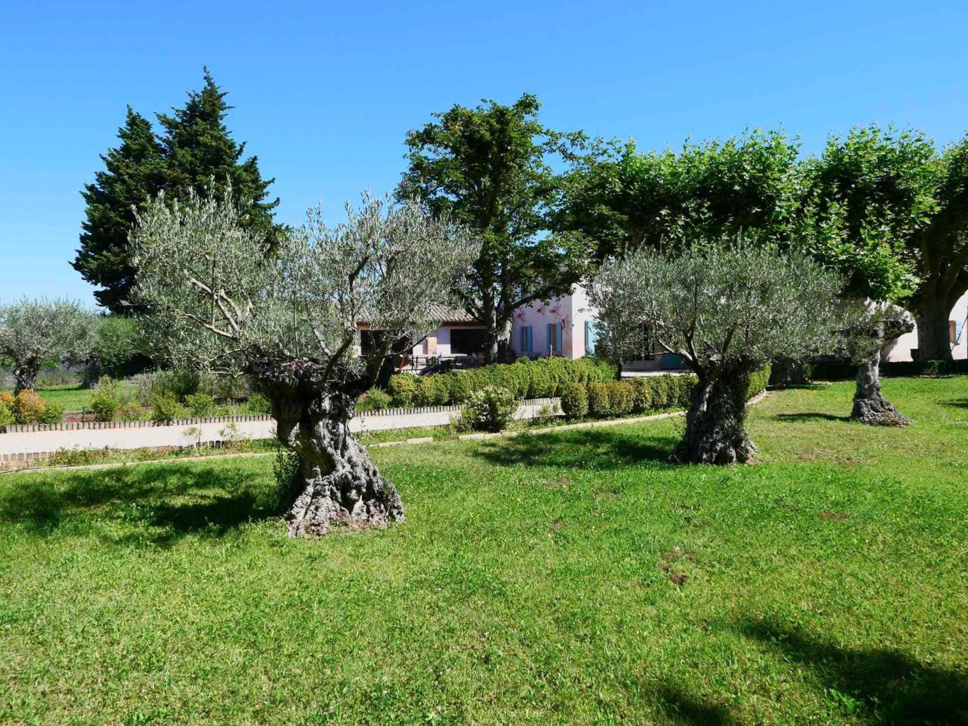 Typical Provencal Farm House Close To L'Isle Sur La Sorgue - 12 Persons Кавайон Екстер'єр фото