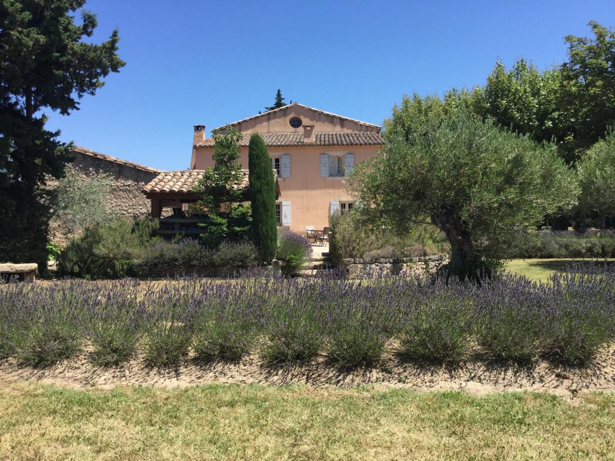 Typical Provencal Farm House Close To L'Isle Sur La Sorgue - 12 Persons Кавайон Екстер'єр фото